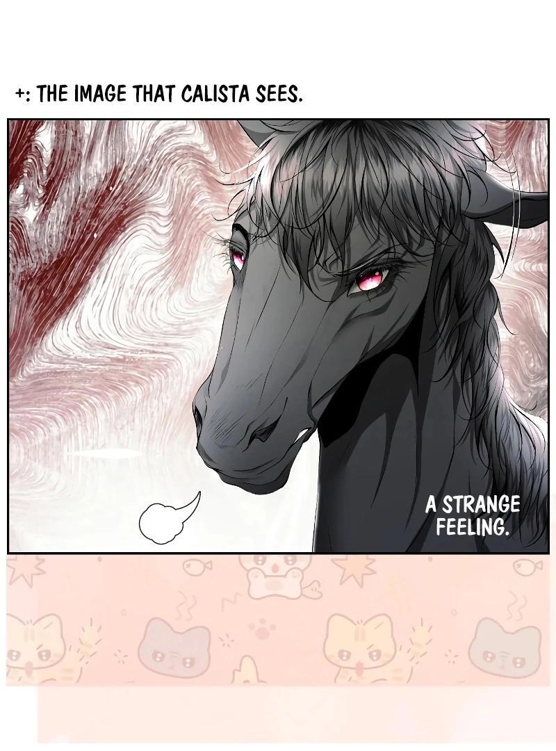 74288334 800 1080 116797